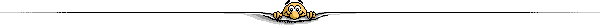 barra11.gif (1466 bytes)